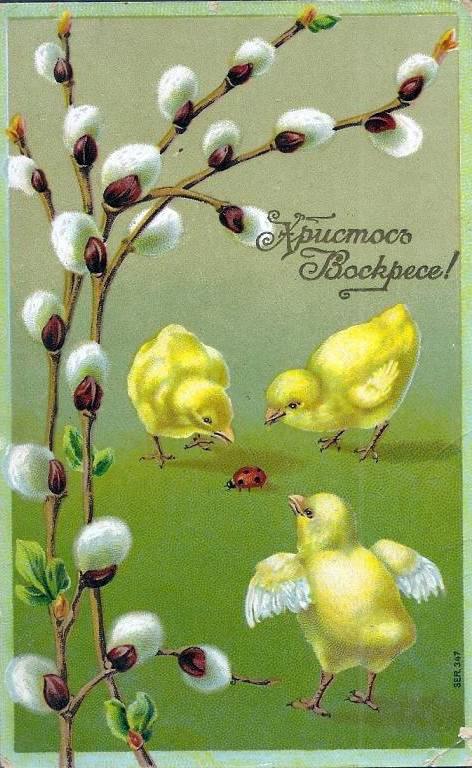 ���������� ��������