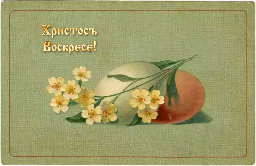 ���������� ��������